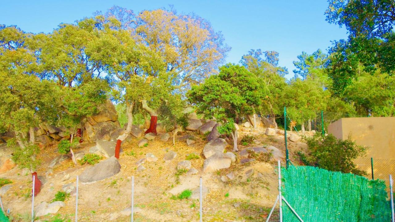 Luxury Villa Investingspain With Sea Views, Pool And Jacuzzi Lloret de Mar Bagian luar foto